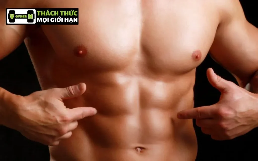 Abs Workout Là Gì? Các Bài Tập Abs Hiệu Quả