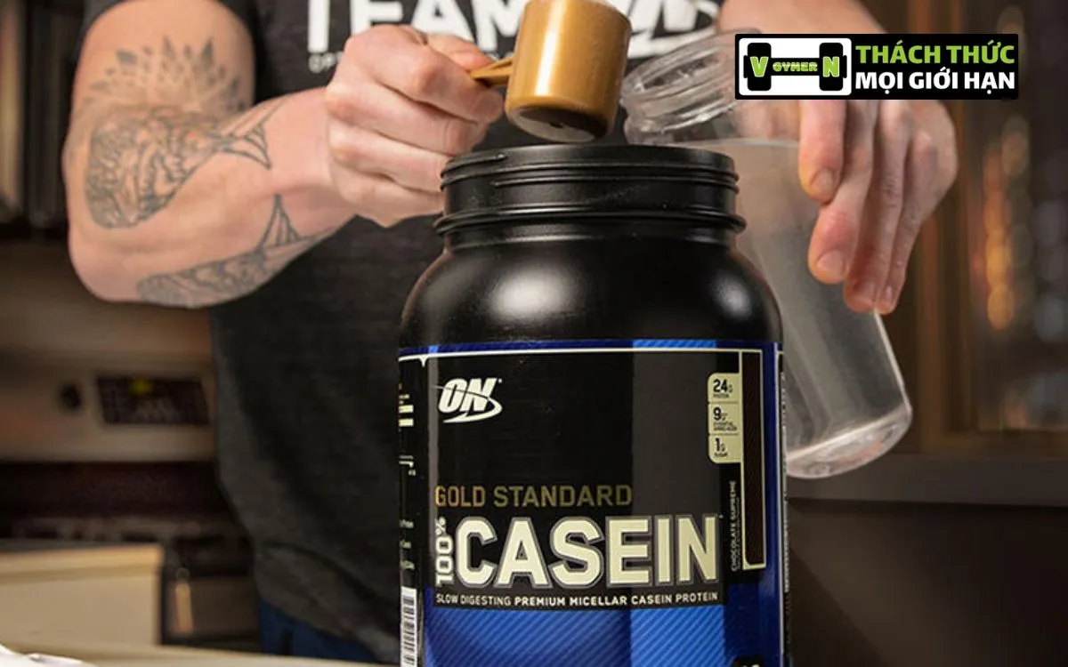 Sản phẩm Casein Nào Tốt Nhất Hiện Nay?