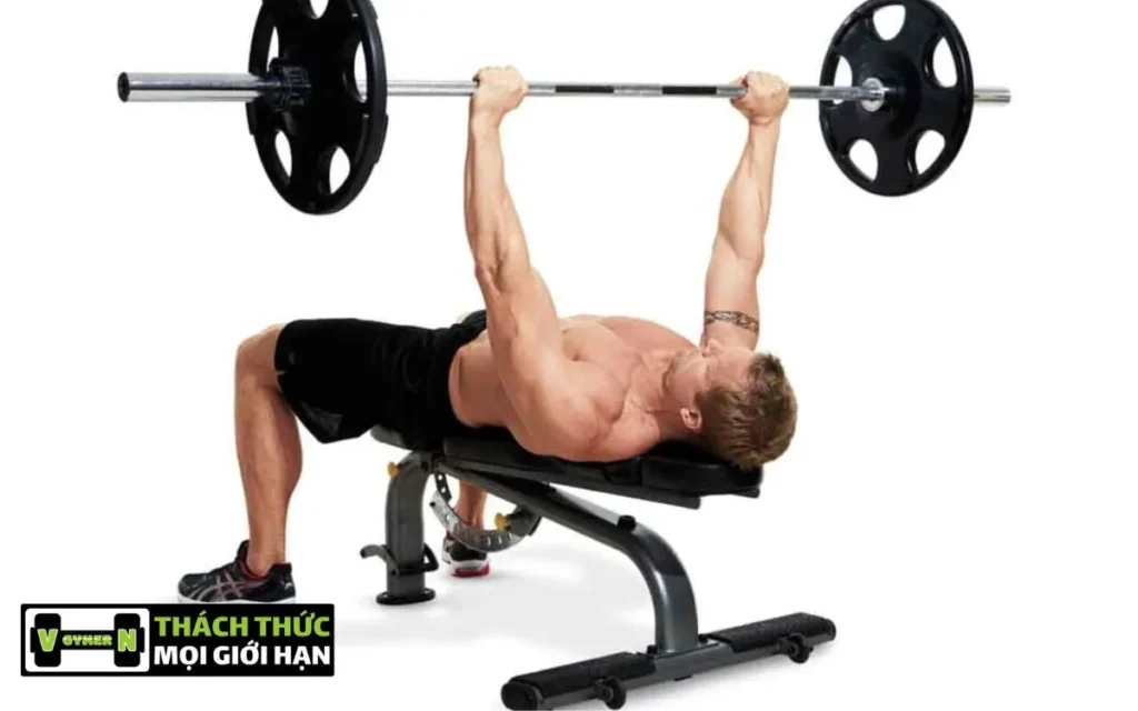 Hướng Dẫn Tập Bench Press Đúng Cách