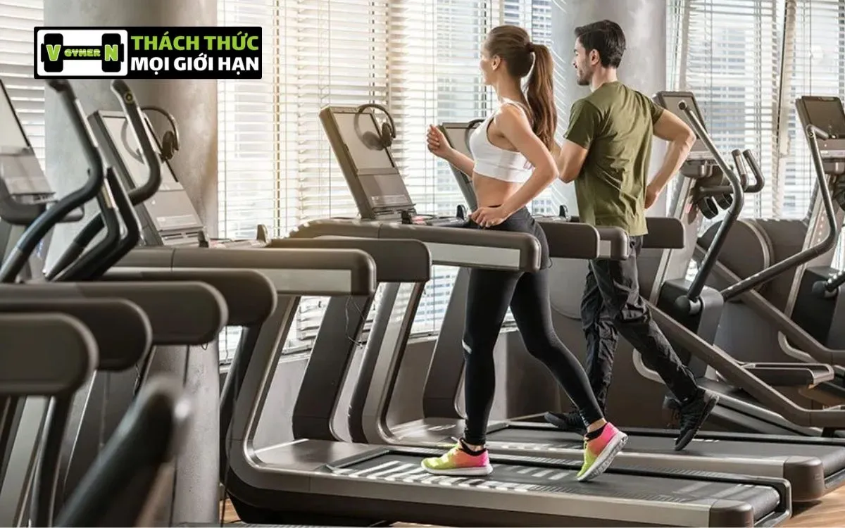 Một Số Thiết Bị Phòng Gym Cơ Bản