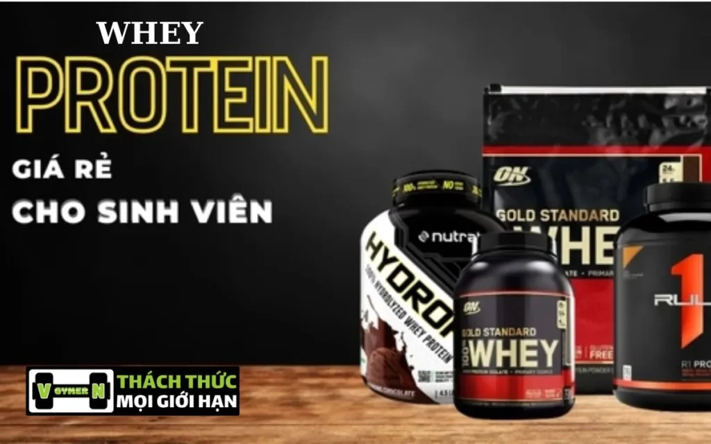 Top 5 Whey Protein Giá Rẻ Cho Sinh Viên Tăng Cơ Giảm Mỡ